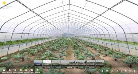 乡村振兴--VR全景助力农业新体验